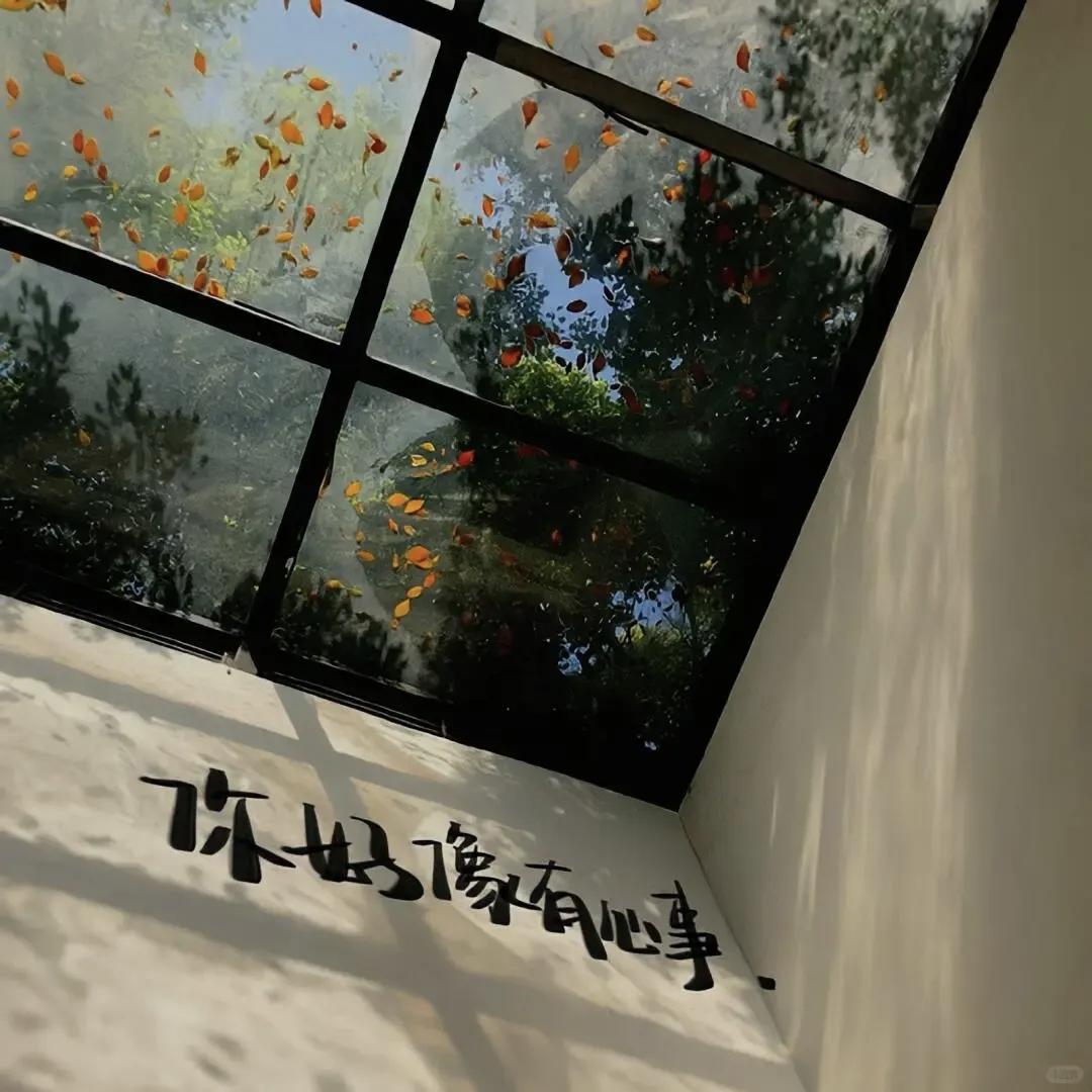 极简审美下的空间营造心得